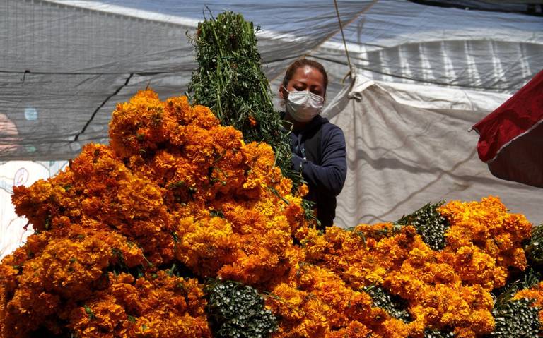 Amenaza cempasúchil chino a la flor nativa - El Sol de Hidalgo | Noticias  Locales, Policiacas, sobre México, Hidalgo y el Mundo