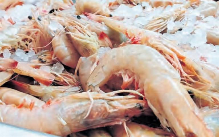 Se desploma la venta de mariscos - El Sol de Tulancingo | Noticias Locales,  Policiacas, sobre México, Hidalgo y el Mundo