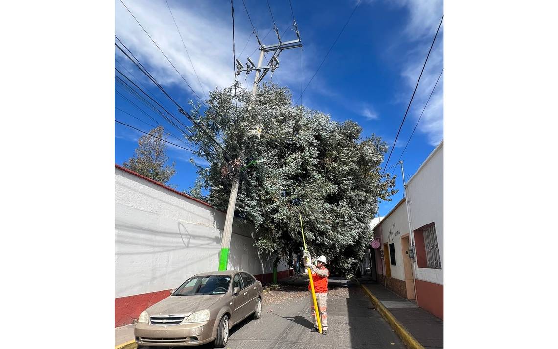 Por derrumbe de árbol, dejan sin luz a vecinos y cierran calles en  Tulancingo - El Sol de Tulancingo | Noticias Locales, Policiacas, sobre  México, Hidalgo y el Mundo