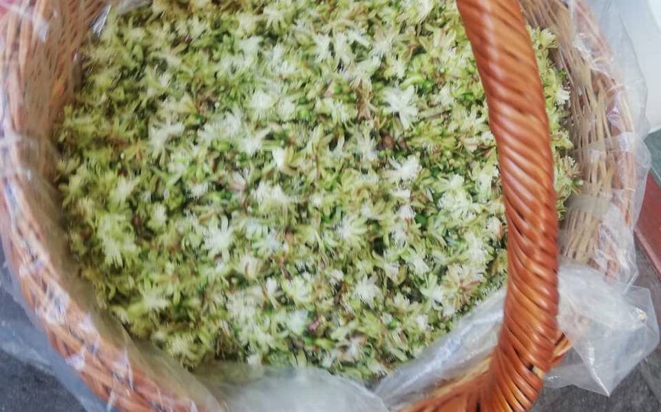 Hñahñus producen sus alimentos con flores silvestres - El Sol de Hidalgo |  Noticias Locales, Policiacas, sobre México, Hidalgo y el Mundo