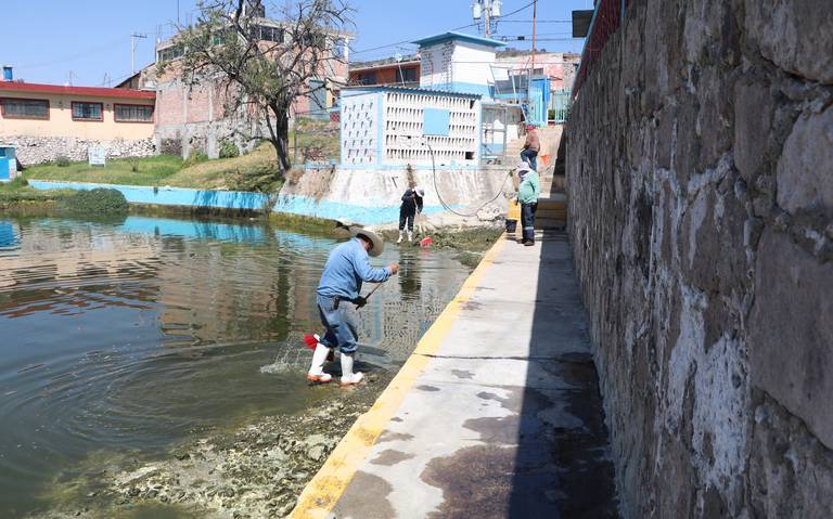 Limpian alberca de Almoloya para el Sábado de Gloria - El Sol de Hidalgo |  Noticias Locales, Policiacas, sobre México, Hidalgo y el Mundo