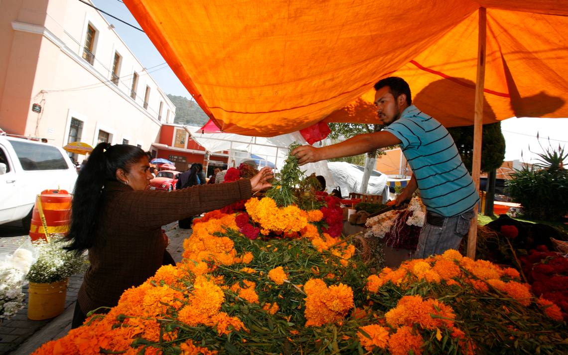 Hidalgo, tercer lugar en producción de cempasúchil - El Sol de Hidalgo |  Noticias Locales, Policiacas, sobre México, Hidalgo y el Mundo