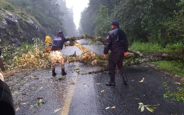 Caída de árboles y derrumbes en Mineral del Chico y Huasca - El Sol de  Hidalgo | Noticias Locales, Policiacas, sobre México, Hidalgo y el Mundo